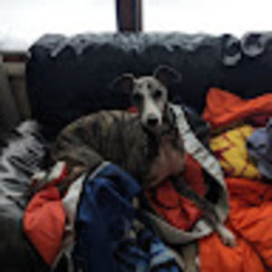 Meet your Posher, Vicki